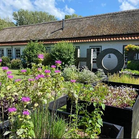 Hof Aan Zee Villa Dishoek Dış mekan fotoğraf