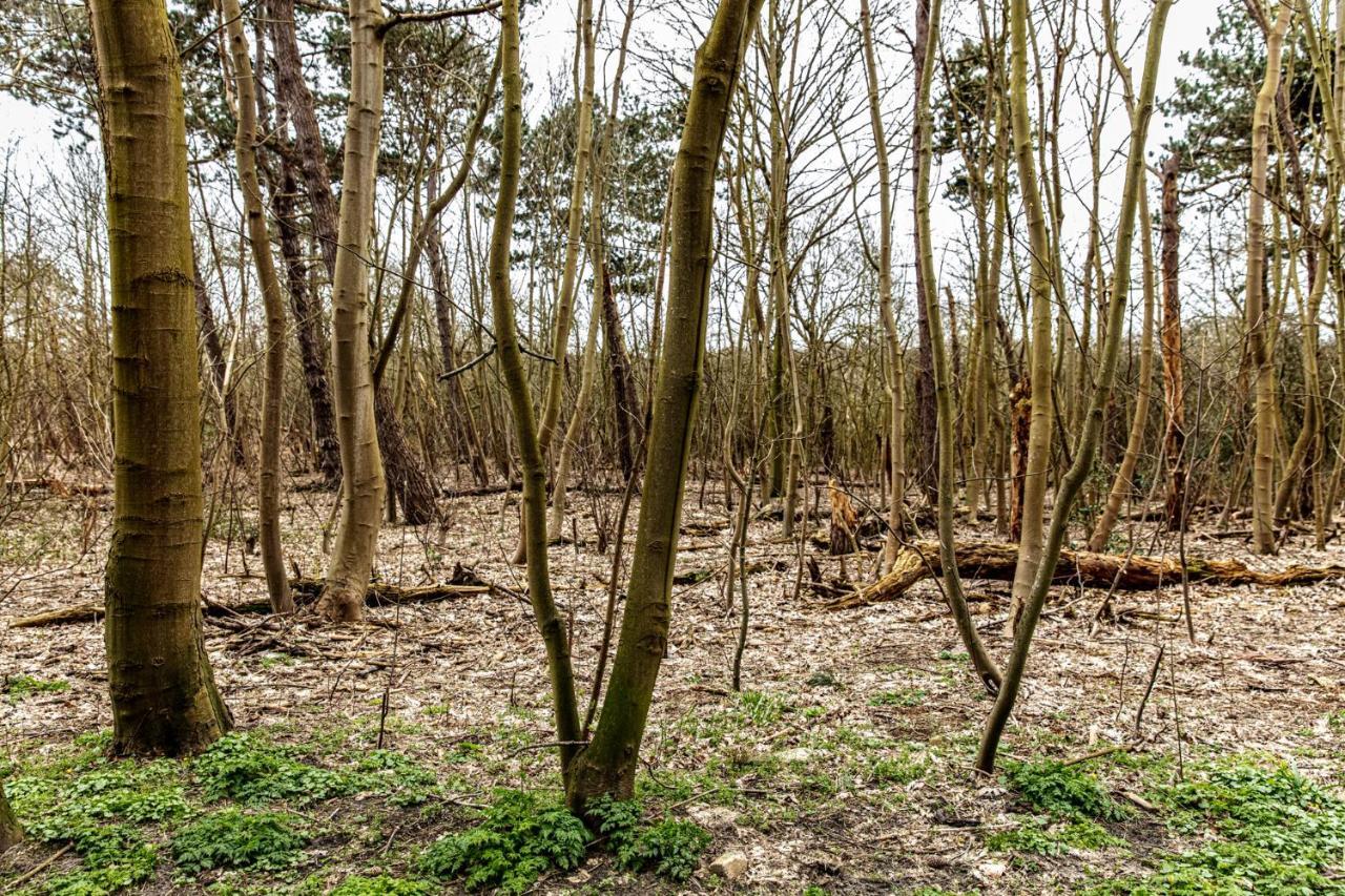 Hof Aan Zee Villa Dishoek Dış mekan fotoğraf